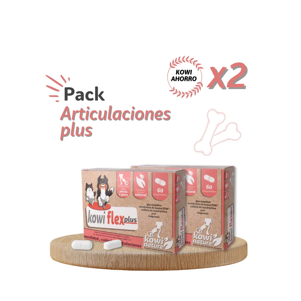 Pack x2 Kowi Flex Plus